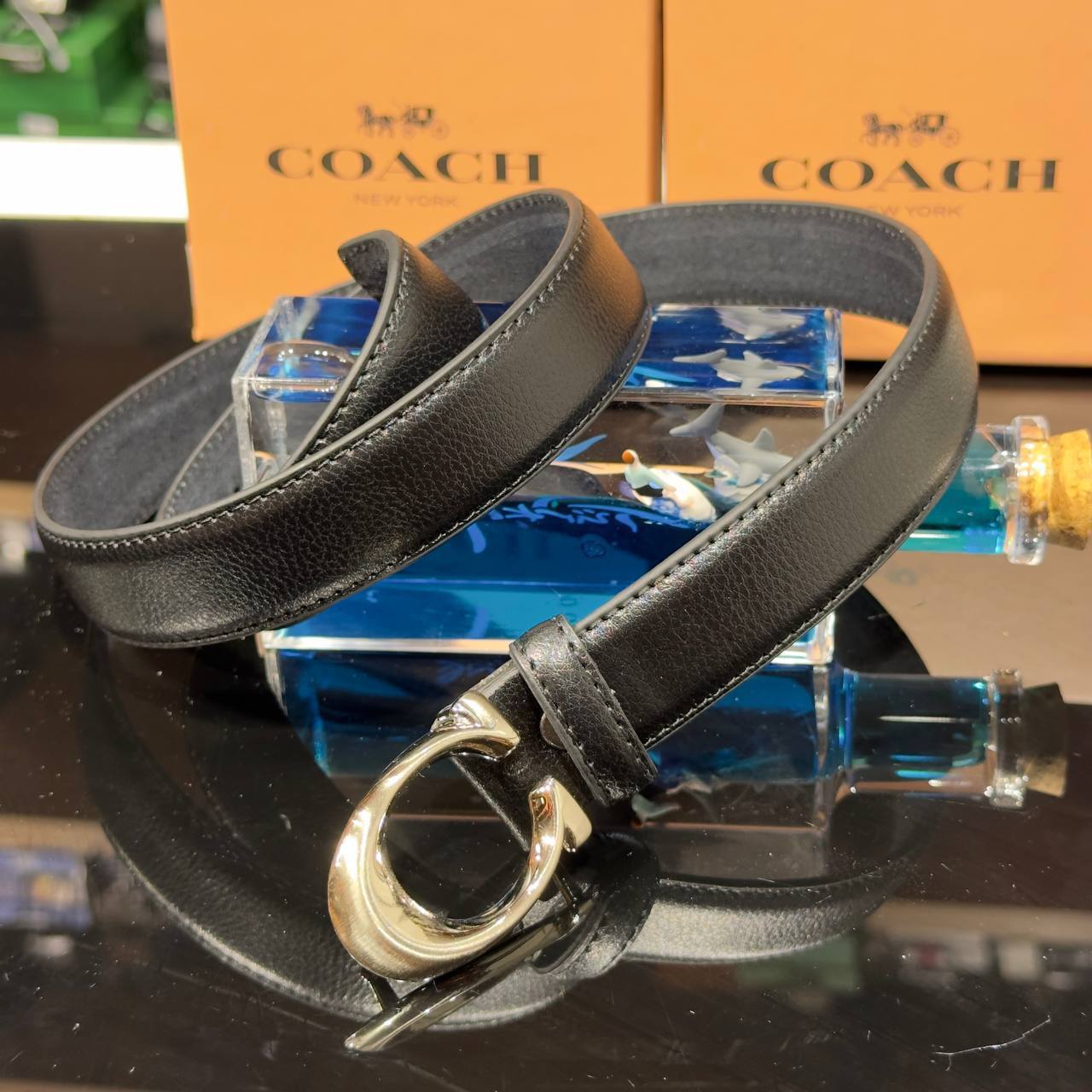 ACCESSORIES BELT COACH